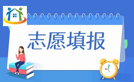 2024年广东3+证书志愿填报入口及流程