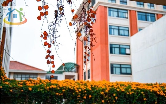 厦门市音乐学校2024年中职一年级招生简章