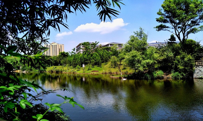 重庆能源职业学院 