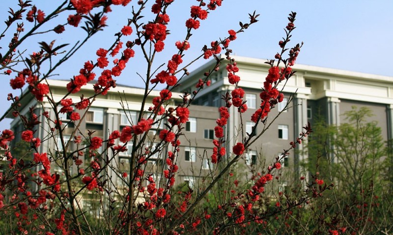重庆能源职业学院 