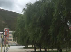 甘孜州炉霍中学