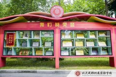 北大成都附属实验学校