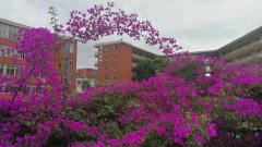 成都经济技术开发区实验中学校