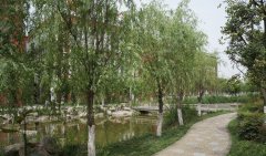 成都七中万达学校(国际部)