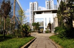 成都石室蜀都中学