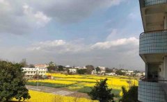 成都市新都区泰兴中学校