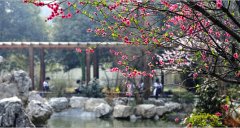 成都外国语学校