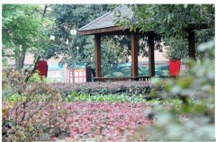 成都市第三十六中学校