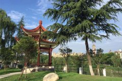 成都市三原外国语学校