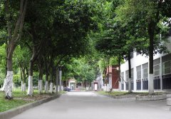 成都市新都香城中学