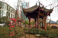 达州外国语学校