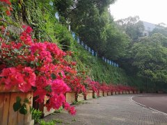 简阳市实验中学