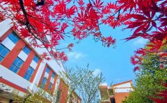 四川省绵竹中学