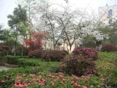 眉山市东坡区多悦高级中学校