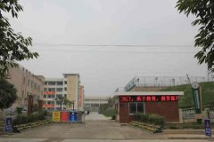 绵阳高新区实验中学