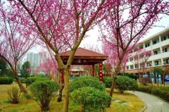 邛崃市第一中学校