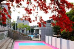 攀枝花市第十五中学校