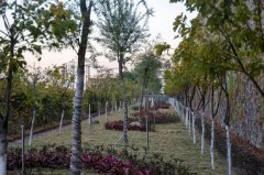 攀枝花市第七高级中学校