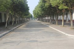 邛崃市强项实验学校