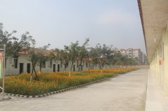 邛崃市强项实验学校