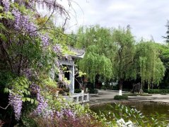 四川省中江中学校