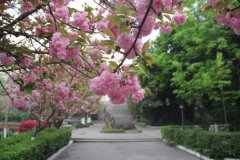 四川省中江中学校