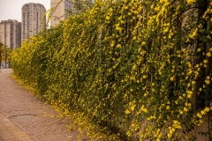 四川省仁寿第一中学校北校区