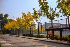 四川省仁寿第一中学校北校区