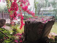 四川省崇州市蜀城中学