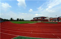 四川省成都市新都一中