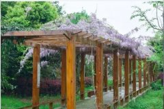 四川省成都市郫都区第三中学