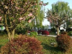 四川省成都市郫都区第三中学