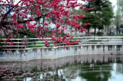 四川省成都市郫都区第三中学