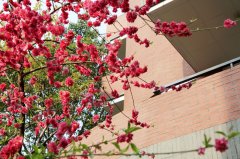 四川省成都市玉林中学