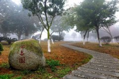 四川省东汽八一中学