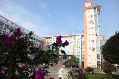 四川省东汽八一中学