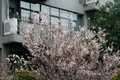 四川省德阳市第五中学