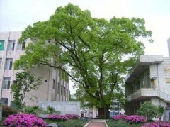 四川省峨眉第二中学校