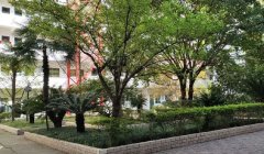 四川省通江中学