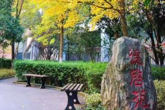 四川省广元中学