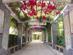 四川省眉山第一中学