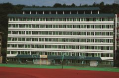 四川省南部中学