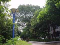 四川省南充龙门中学