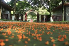 四川省彭州中学