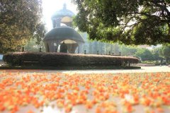 四川省彭州中学