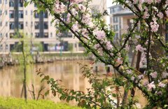 四川省蒲江县蒲江中学