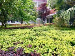 四川省彭州市濛阳中学