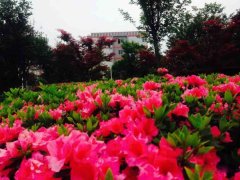 四川省彭州市濛阳中学