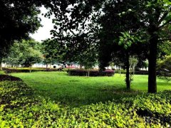 四川省彭州市濛阳中学