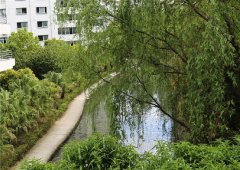 四川省射洪中学校